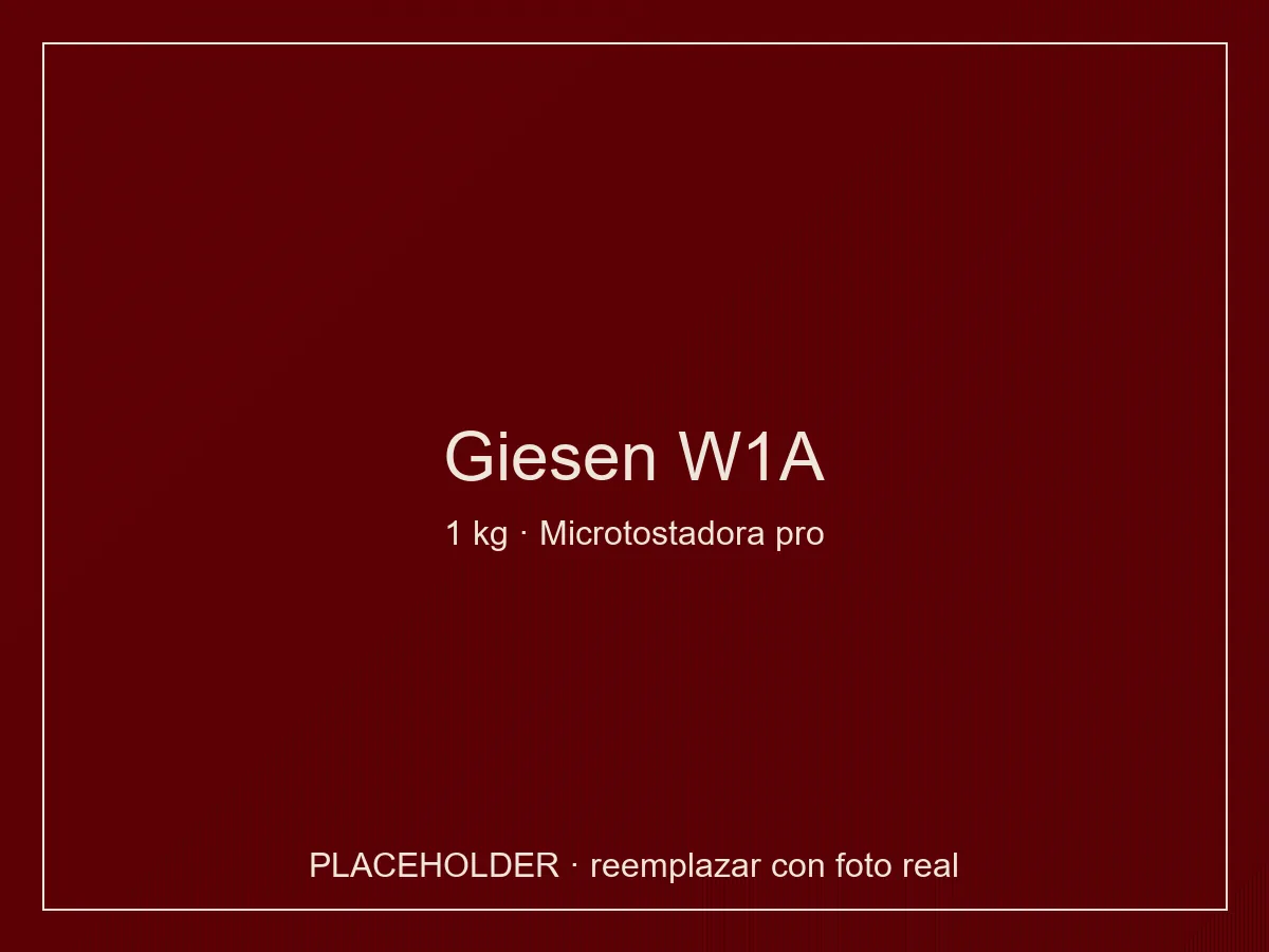 Giesen W1A microtostadora industrial 1 kg gas o eléctrica con Profiler