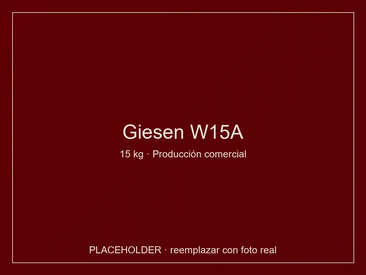 Giesen W15A tostadora industrial 15 kg gas con postcombustión para escala comercial